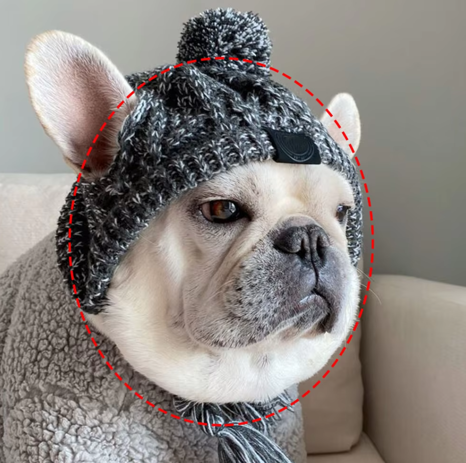 Knitting Hat For Pets With Pompom And Pigtails In Pink