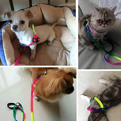 Coloured Dog Harness With Lead - Adjustable Set For Dogs In Rainbow Colours