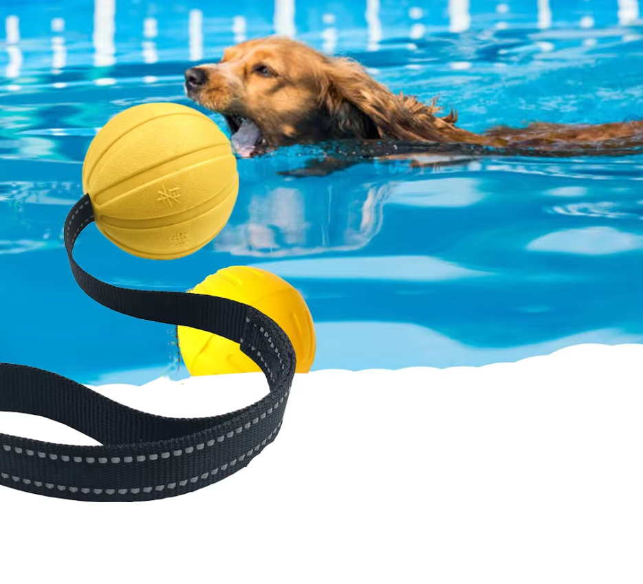 Interactive Bite Training Toy For Dogs - Robust Tug Ball