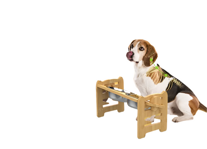 Elevated Feeding Station For Pets With Stainless Steel Bowls