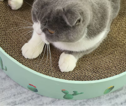 Cardboard Cat Bow With Cactus Design - Modern Style Scratching Board
