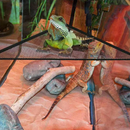 Hammock For Reptiles - Net Hammock With Suction Cups For Terrariums