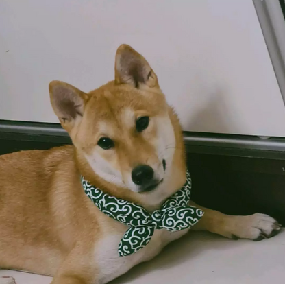 Cooling Dog Bandana With Traditional Pattern For Hot Days