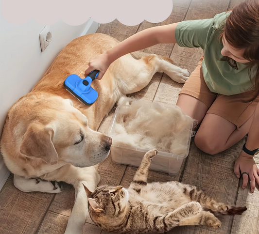 Grooming Set for Pets with Claw Cutter , File and Self - Cleaning Brush