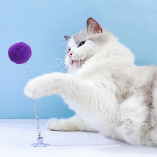 Federball With Suction Cup - Interactive Cat Toy