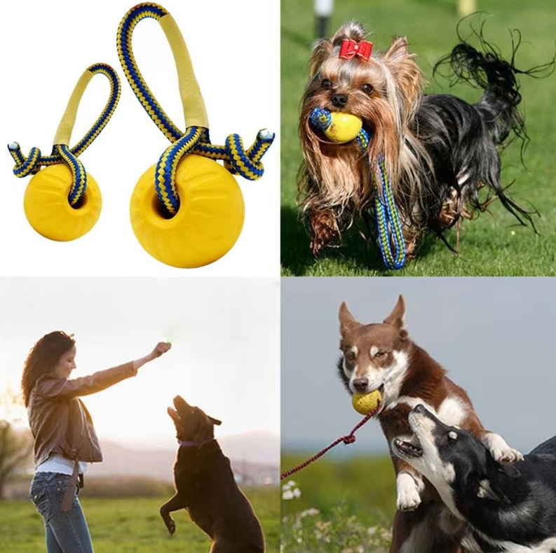 Robust Dog Toy - Retrieving and Tugging Ball with Rope