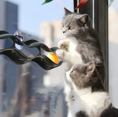 Window Ball Track - Exciting Cat Toy