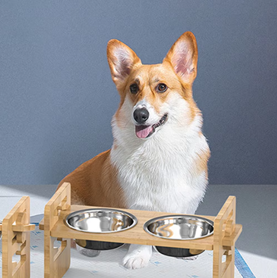 Elevated Feeding Station For Pets With Stainless Steel Bowls