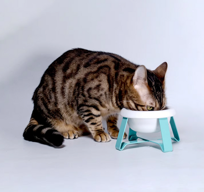 Dog Bowl With Raised Stand - Stylish Food Bowl With Metal Frame