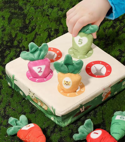 Interactive Cat Toy - Colourful Fish Toys in a Set for Chewing and Playing