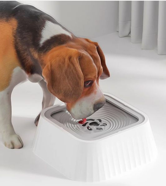Leak-proof Drinking Bowl For Pets With Floating Water Plate To Prevent Wet Mouths