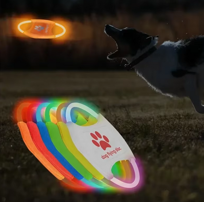 Led Dog Disc - Luminous Flying Disc For Dogs