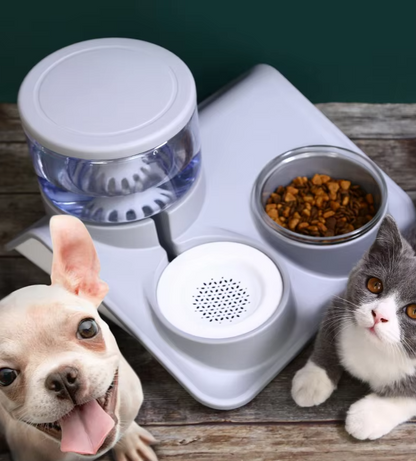 Water And Food Bowl For Pets - 2-in-1 System With Practical Base