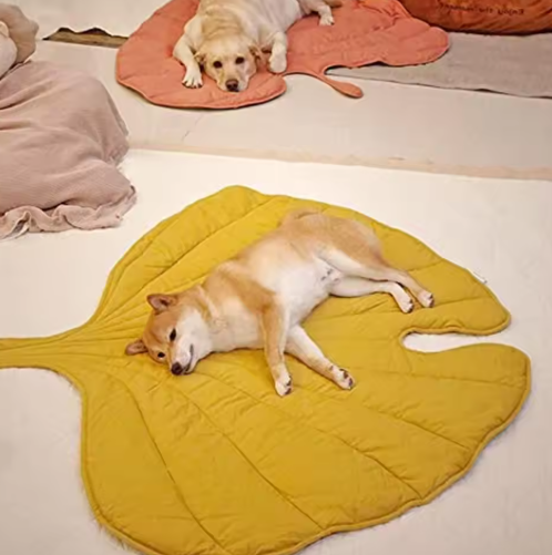 Double-Sided Pet Mat