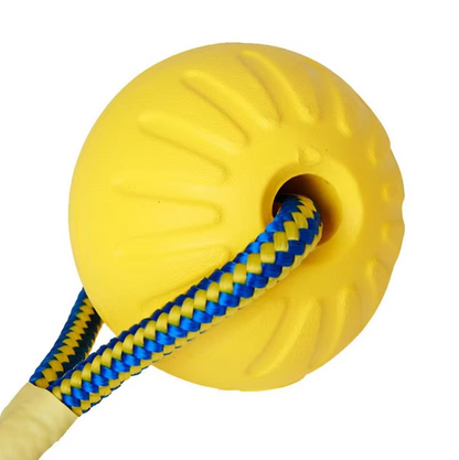 Robust Dog Toy - Retrieving and Tugging Ball with Rope