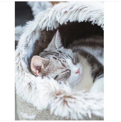 Cat House Bed with Fluffy Edge for Ultimate Comfort