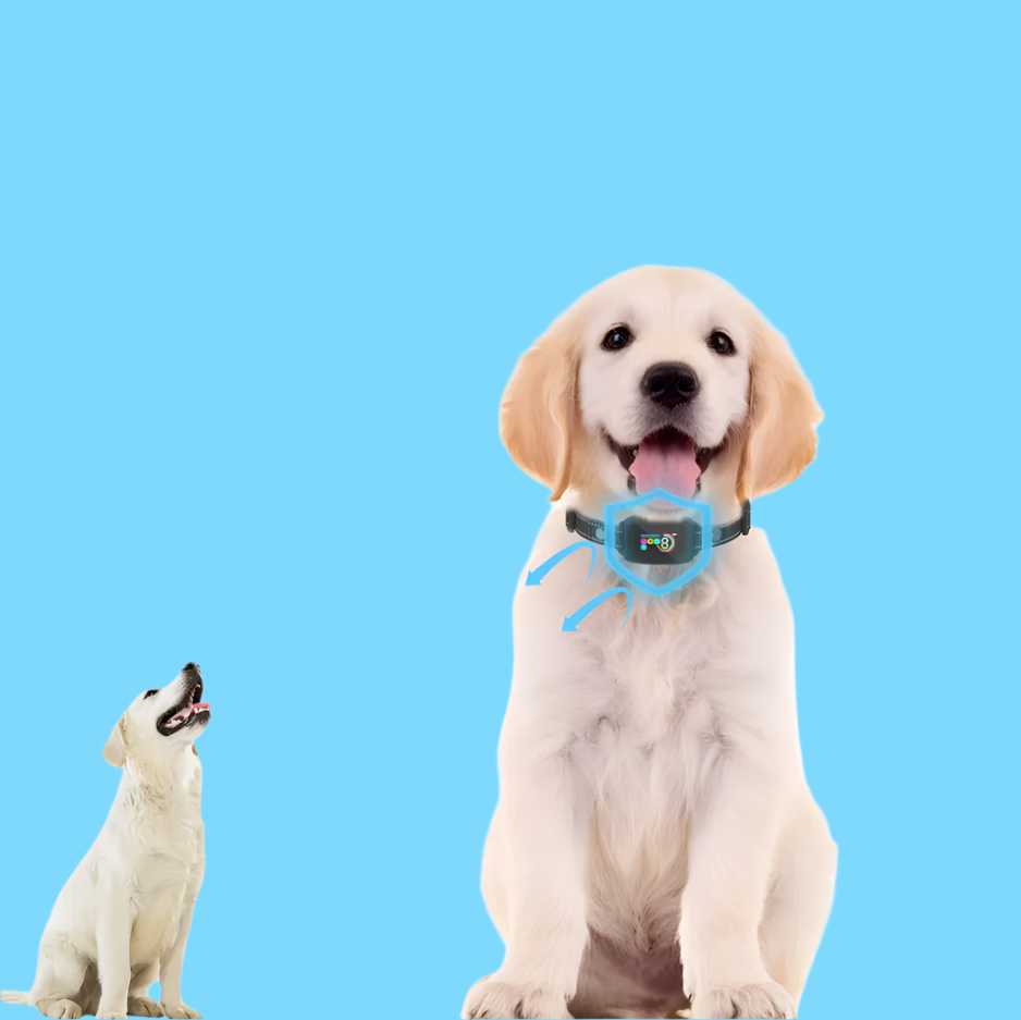 Dog Training Collar With Remote Control - 8 Levels Sensitivity Vibration Shock Mode