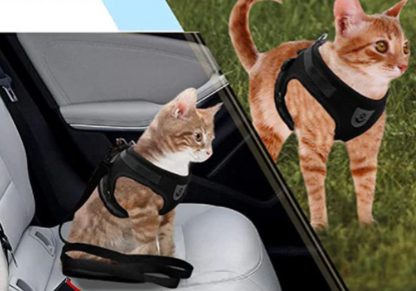 Cat Harness with Leash