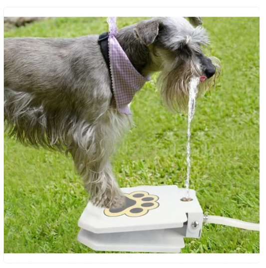 Tread-proof Outdoor Dog Drinking Fountain With Water Connection And Paw Activation