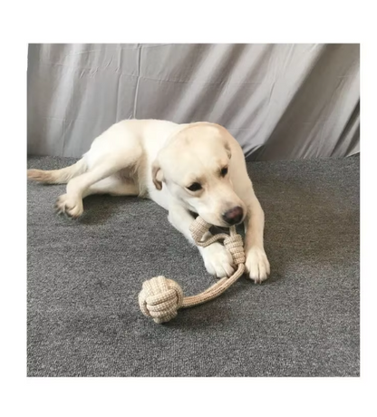 Robust Chew Toy Set Made Of Rope - Long - Lasting Fun For Dogs