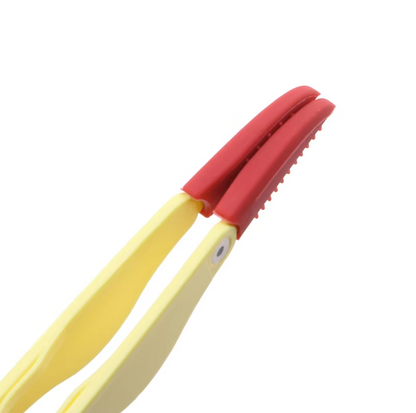 Tick Tweezers For Pets - Precise & Gentle Removal
