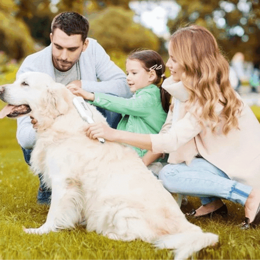 Electric Massage Brush for Pets with Usb Charging and Grooming Function