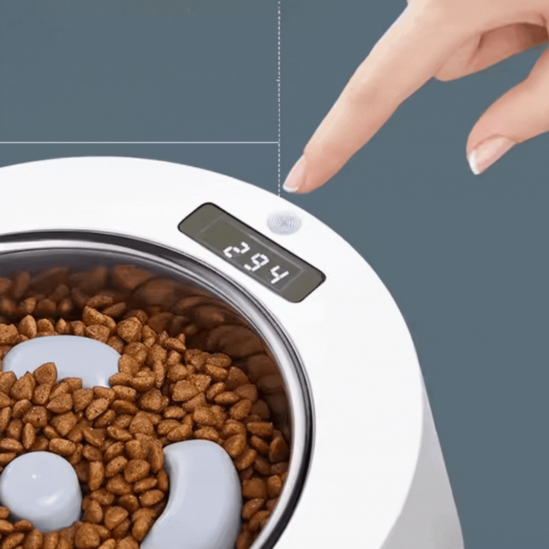 Automatic Food Dispenser For Dogs And Cats - Interactive Food Bowl With Digital Display