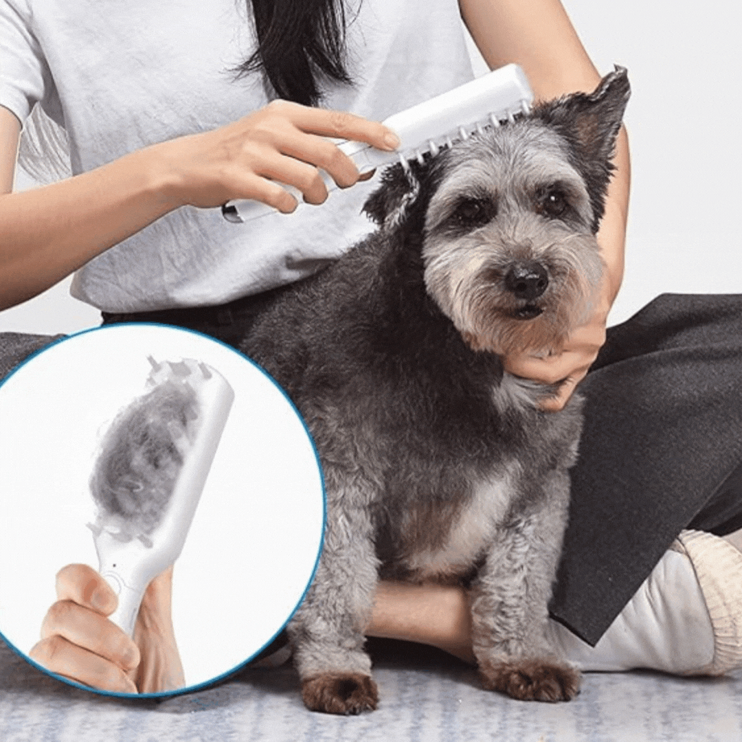 Electric Massage Brush for Pets with Usb Charging and Grooming Function
