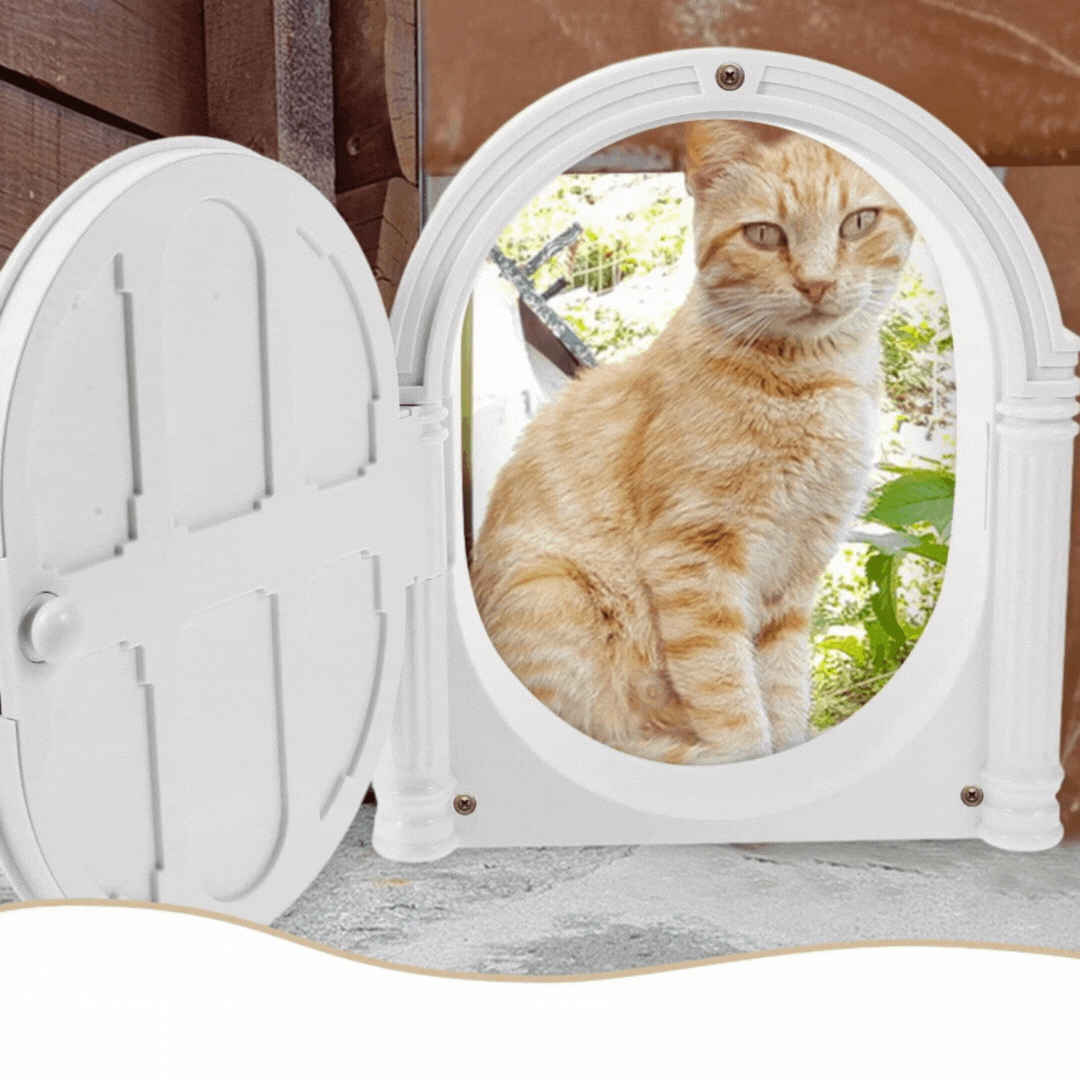 Decorative Front Door in Classic Design - Toy for Small Pets