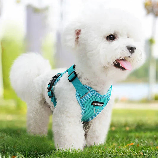 Reflective Dog Harness with Leash for Small Dogs