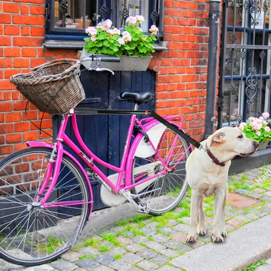 Bicycle Dog Leash With Suspension For Safe Cycling And Dog Walking