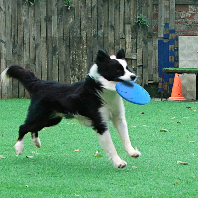 Dog Toy Frisbee - Robust Throwing Disc For Active Play