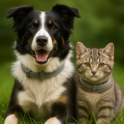 NaturalDefense - 8+ Months Protection against Ticks & Fleas
