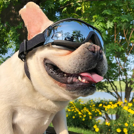 Safety Goggles For Dogs - Uv Protection And Windproof Goggles For Pets