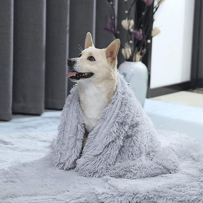 SnuggleSoft Plush Pet Blanket