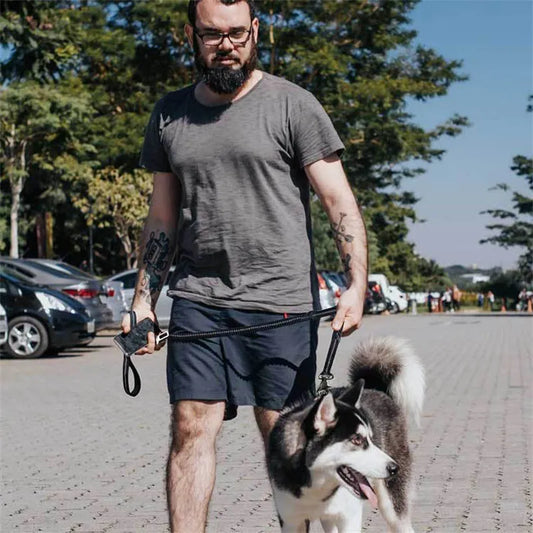 Elastic Dog Lead With Shock Absorption - Shock-absorbing Lead For Walks