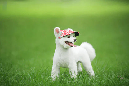 Fashionable Round Dog Cap