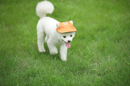 Fashionable Round Dog Cap