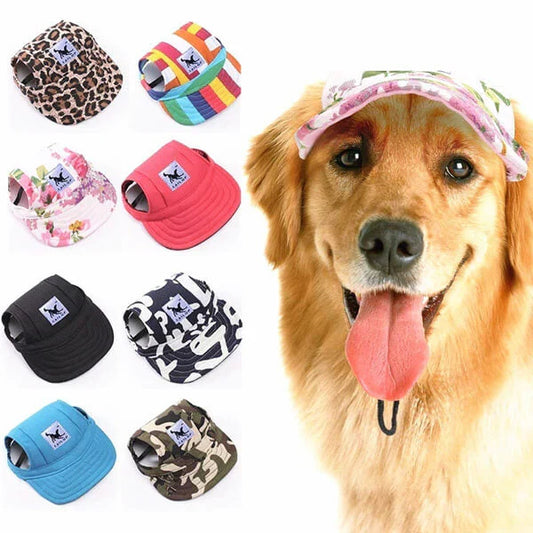 Fashionable Round Dog Cap