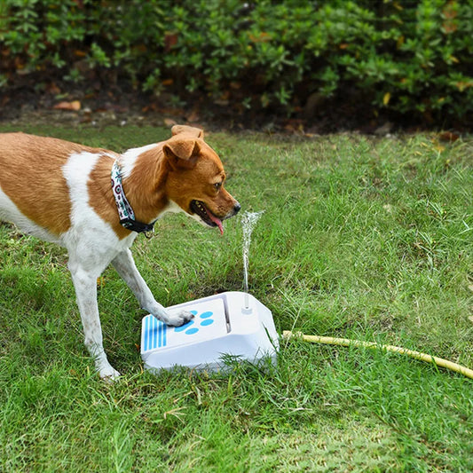 Outdoor Dog Drinking Fountain With Paw Button For Independent Drinking In The Garden