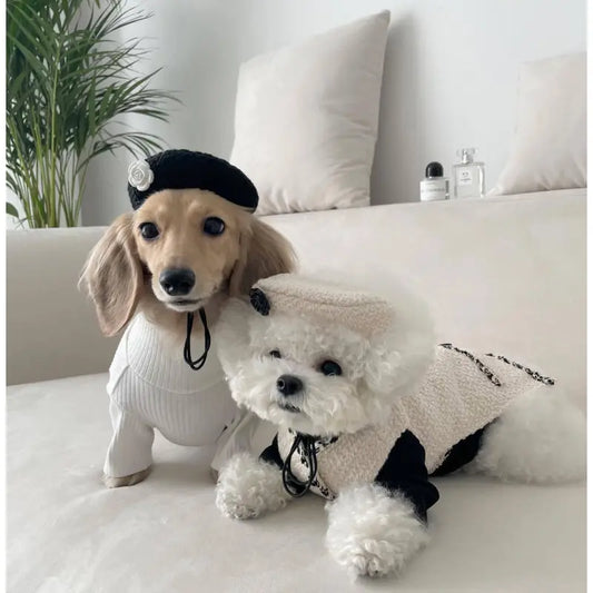 Elegant Dog Collar With Chic Little Hat And Flower Appliqué - Fashionable Design For Your Four - Legged Friend