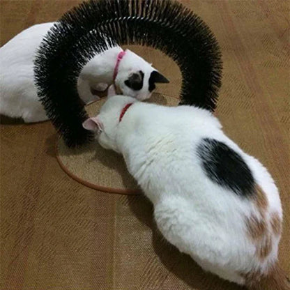 Self - Care And Massage Sheet For Cats