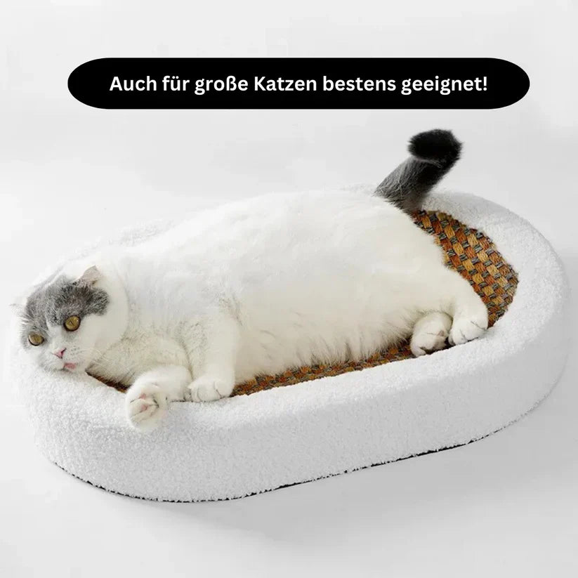 Premium Cat Bed With Scratching Plate