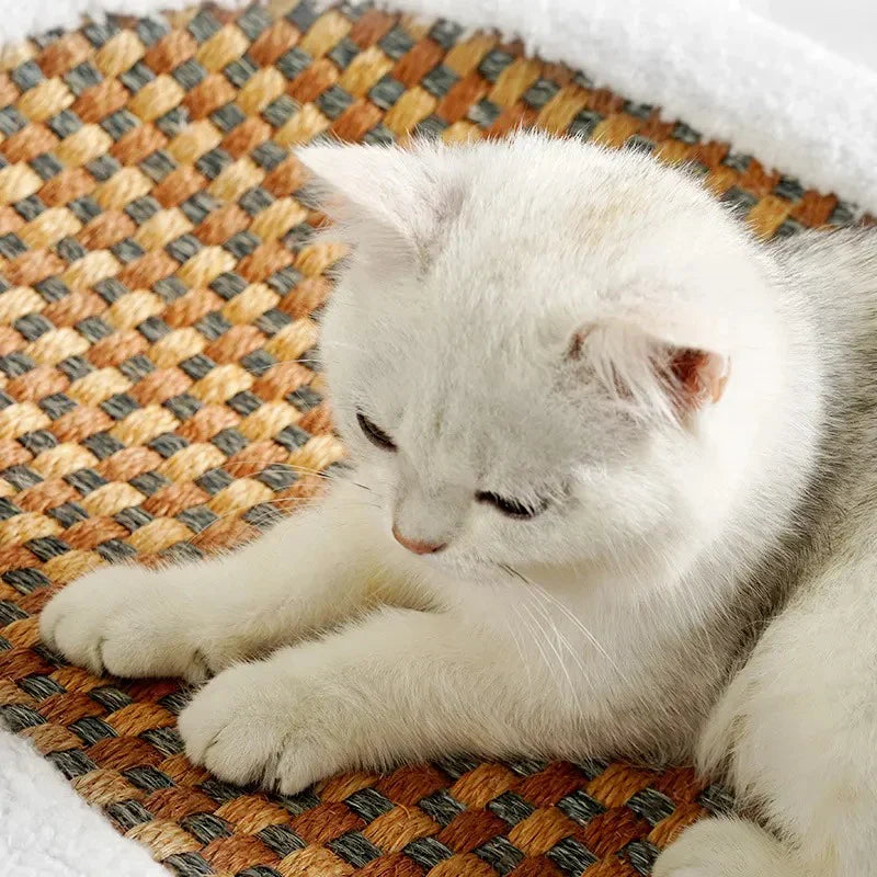 Premium Cat Bed With Scratching Plate