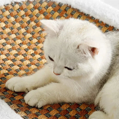 Premium Cat Bed With Scratching Plate