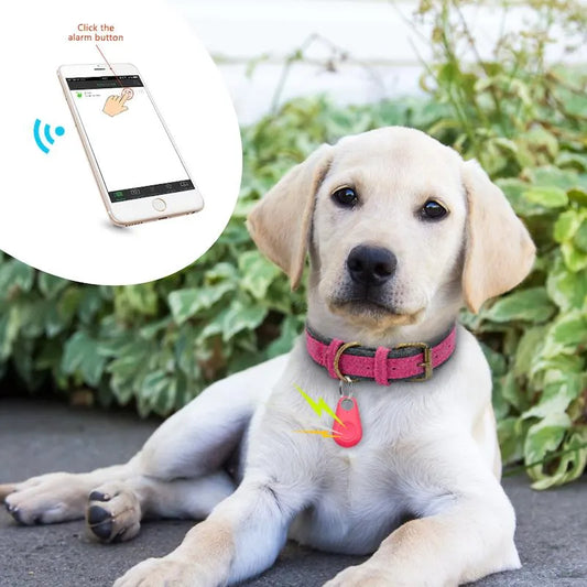 GPS Tracker for Pets