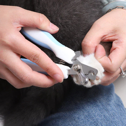 Claw Scissors for Pets with Safety Lock and File