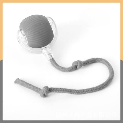Interactive Play Ball With Tail For Cats