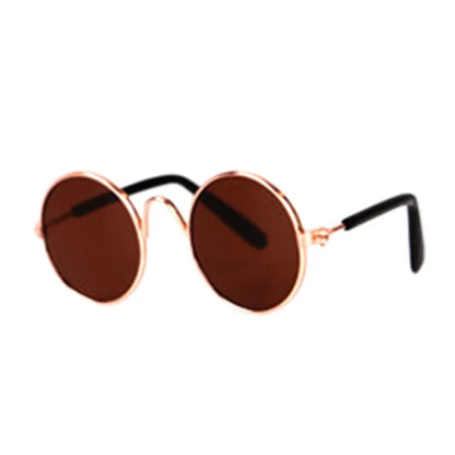 Fashionable Cat Glasses