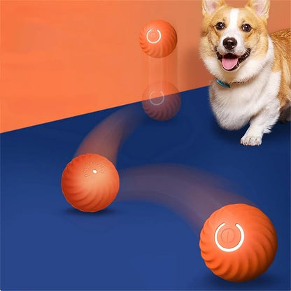 Interactive Bouncy Ball for Dogs